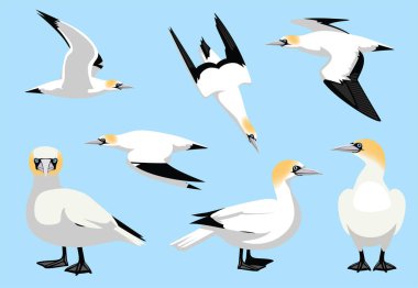 Kuzey sümsük kuşu Uçan Ayakta Duran Pozisyon Vektör İllüstrasyonu