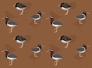 Kuş Boyalı Snipe Çizgi Filmi Sevimli, Kusursuz Duvar Kağıdı Arkaplanı