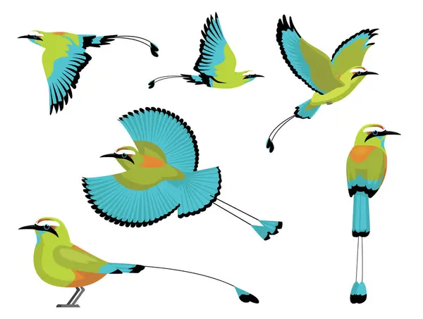 stock vector Bird Motmot Turquoise-Browed Exotic Various Poses Cartoon Vector Character