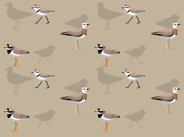 Kuş Kenti Plover Çizgi Filmi Sevimli Kusursuz Duvar Kağıdı Arkaplanı