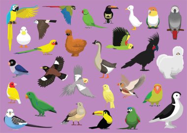 Kuşlar Egzotik Evcil Hayvan Çizgi Filmi Vektör Resimleri İzole Edilmiş Karakter Ayarları