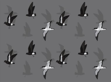 Kuş Yelesi Fırtınası Çizgi Filmi Sevimli Kusursuz Duvar Kağıdı Arkaplanı