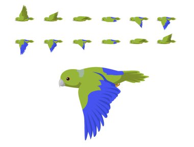 Cobalt-Rumped Parrotlet Forpus Parrot Flying Animation Sequence Cartoon Vector clipart