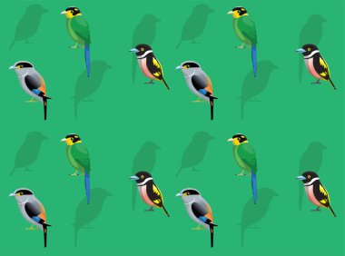 Kuş Yayın Tasarısı Çizgi Filmi Sevimli Kusursuz Duvar Kağıdı Arkaplanı