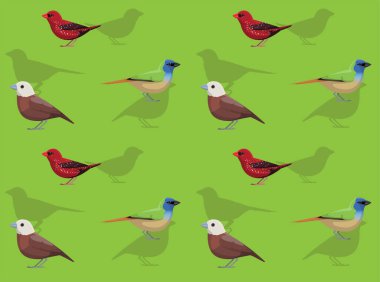 Kuş Munia Avadavat Parrotfinch Çizgi Film Şirin Kusursuz Duvar Kağıdı Arkaplanı