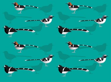 Kuş Forktail Çizgi Filmi Sevimli Kusursuz Duvar Kağıdı Arkaplanı