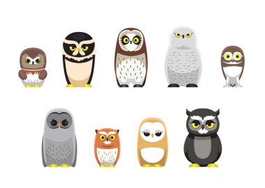 Baykuş Sevimli Karakter Set Pozisyonları Çizgi Film Çizimi