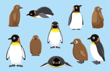 Kral Penguen Piliç Şirin Kuş Kış Set Çizgi Film Vektörü