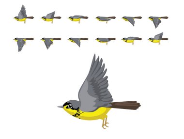 Kuş Kanada Warbler Uçan Animasyon Dizisi Çizgi Film Vektörü