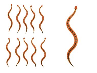 Bushmaster Yılan Hayvanı Animasyon Dizisi Çizgi Film Vektörü