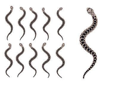 Yılan Yılanı Hayvan Animasyon Dizisi Çizgi Film Vektörü