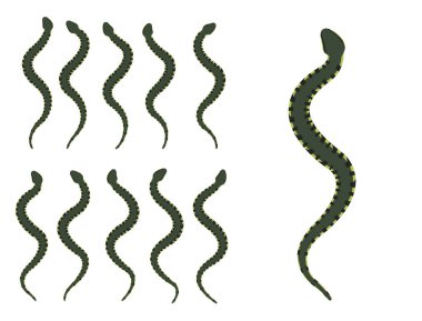 Cottonmouth Yılan Hayvanı Animasyon Dizisi Çizgi Film Vektörü