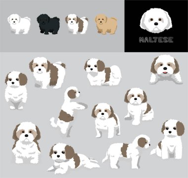 Maltese Köpek İki Renkli Çizgi Film Vektör Resimlendirme Renk Değişikliği Ayarları