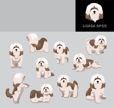 Lhasa Apso Köpek Çizgi Filmi Vektör Gösterimi Renk Değişikliği Ayarları