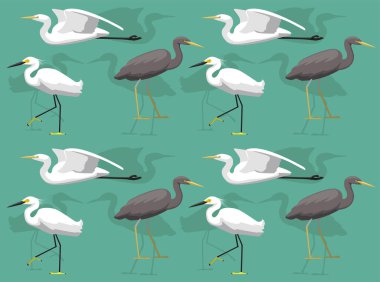 Kuş Egret Çizgi Filmi Sevimli Kusursuz Duvar Kağıdı Arkaplanı