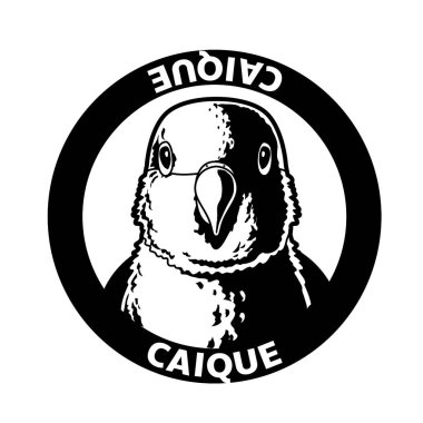 Caique Parrot Bird Black and White Monochrome Head Logo Icon Vector clipart