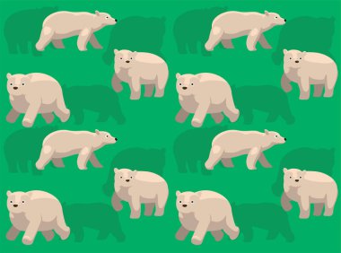 Bear Kermode Çizgi Filmi Sevimli Kusursuz Duvar Kağıdı Arkaplanı