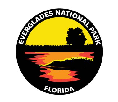 Everglades Ulusal Park Florida Vektör Timsahı