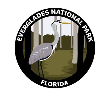 Everglades Ulusal Park Florida Vektör Logosu Heron