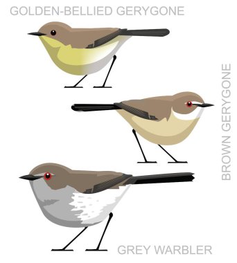 Kuş Bülbülü Gerygone Çizgi film Vektörü