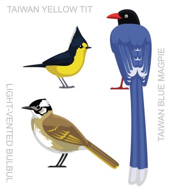 Bird Taiwan Bulbul Tit Magpie Set Cartoon Vector clipart