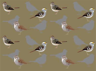 Song Sparrow Bird Cartoon Character Seamless Wallpaper Background clipart