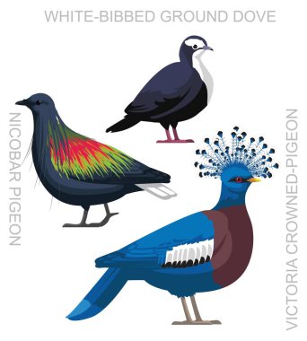 Bird Crown Pigeon Dove New Guinea Set Cute Cartoon Vector clipart