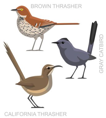 Kuş Kedikuşu Ezici Çizgi film Vektörü