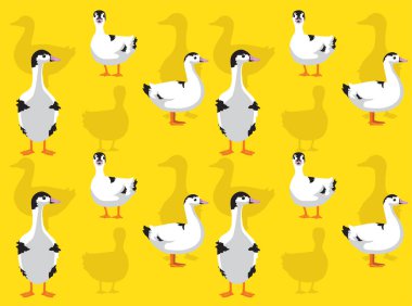 Ördek Kümes hayvanları Mulard Çizgi Filmi Sevimli Kusursuz Duvar Kağıdı Arkaplanı