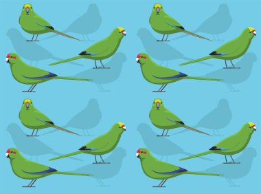 Kuş Yeni Zelanda Papağanı Papağan Şirin Kusursuz Duvar Kağıdı Arkaplanı