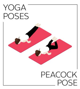Yoga Poz Tavuskuşu Isometric Vektör Ayarları
