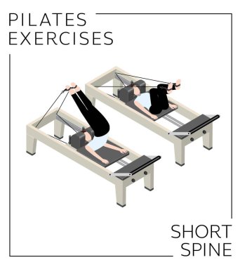 Pilates Egzersizi Reformist Vektörün Kısa Omurgası