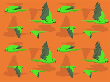 Papağan Kızılderili Çemberi Uçan Şirin Kusursuz Duvar Kağıdı Arkaplanı