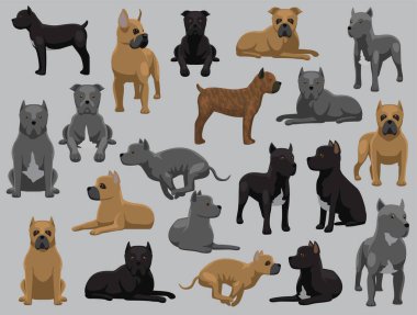 Köpek Çubuğu Corso Çeşitli Renkler Çizgi Film Vektörü Karakteri Pozisyonu