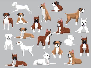 Köpek Boksörü Çeşitli Renkler Çizgi Film Vektörü Karakteri Pozlandırdı