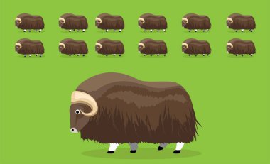 Hayvan Canlandırması Musk Ox Yürüyen Çizgi Film Vektör Resimleri