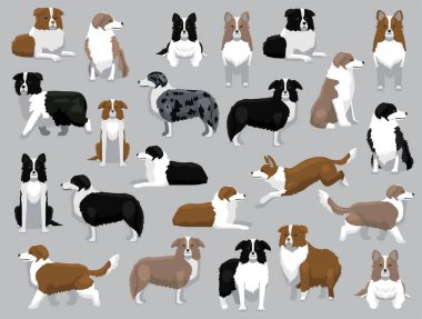 Köpek Sınırı Collie Çeşitli Renkler Çizgi Film Vektörü Karakteri