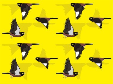 Bird Common Myna Şirin Çizgi Film Karakteri Kusursuz Duvar Kağıdı Arkaplanı