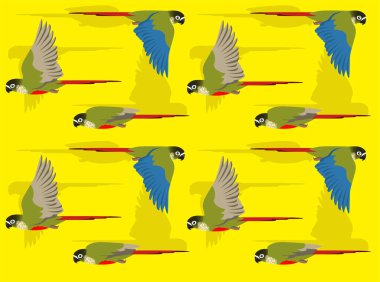 Papağan Yeşil Yanaklı Conure Muhabbet kuşu Şirin Çizgi Film Karakteri Kusursuz Duvar Kağıdı Arkaplanı