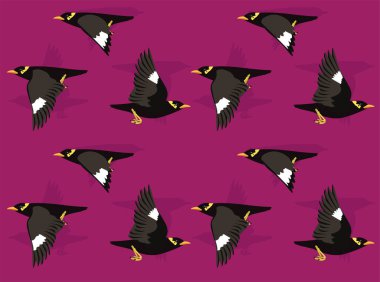 Bird Hill Myna Şirin Çizgi Film Karakteri Kusursuz Duvar Kağıdı Arkaplanı