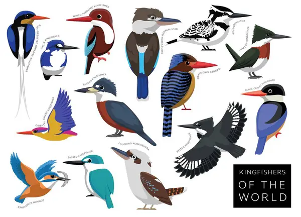 Dünyanın En İyi Balıkçıları Çizgi Film Vektör Karakteri