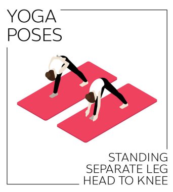 Yoga Poz Ayırma Bacak Başı Diz Ayırıcı Vektör Ayarına