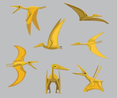 Çizgi film Dinozor Pterodactylus Şirin Çeşitli Pozisyonlar Çizgi Film Vektör İllüzyonu