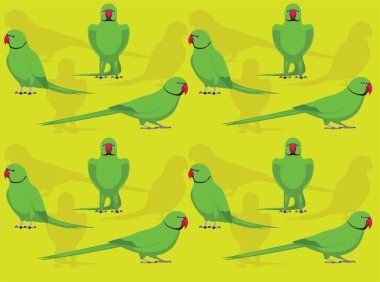 Hint Halka yaka Papağan Çizgi Film Karakteri Kusursuz Duvar Kağıdı Arkaplanı