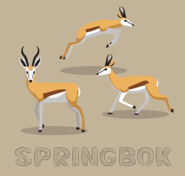 Springbok Antilop Çizgi Film Vektör İllüstrasyonu