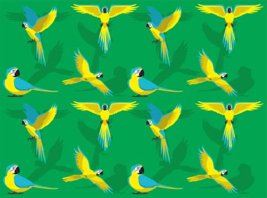 Kuş Mavi ve Altın Papağan Karikatür Karakteri Kusursuz Duvar Kağıdı Arkaplanı