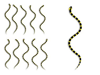 Yılan Bantlı Krait Hayvan Animasyon Dizisi Çizgi Film Vektörü