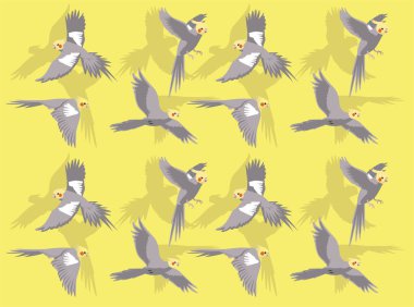 Cockatiel Kuş Gri Çizgi Film Karakteri Kusursuz Duvar Kağıdı Arkaplanı