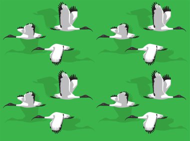 Avustralya Beyaz Ibis Uçan Kuş Çizgi Filmi Karakteri Kusursuz Duvar Kağıdı Arkaplanı