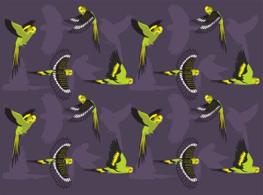 Budgerigar Papağanı Yeşil Kuş Uçan Pozlar Çizgi Film Karakteri Kusursuz Duvar Kağıdı Arkaplanı